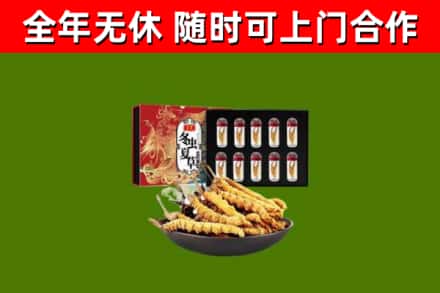 洛龙回收冬虫夏草价格