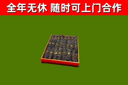 洛龙回收海参